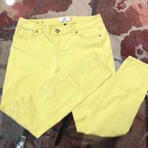CAbi “Sunny Lime” Colored Skinny Jeans - Size 10